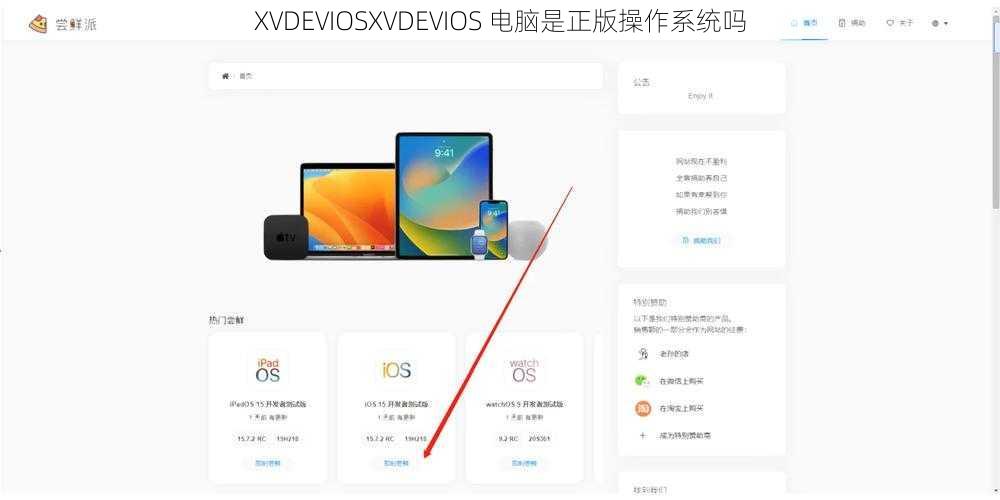 XVDEVIOSXVDEVIOS 电脑是正版操作系统吗