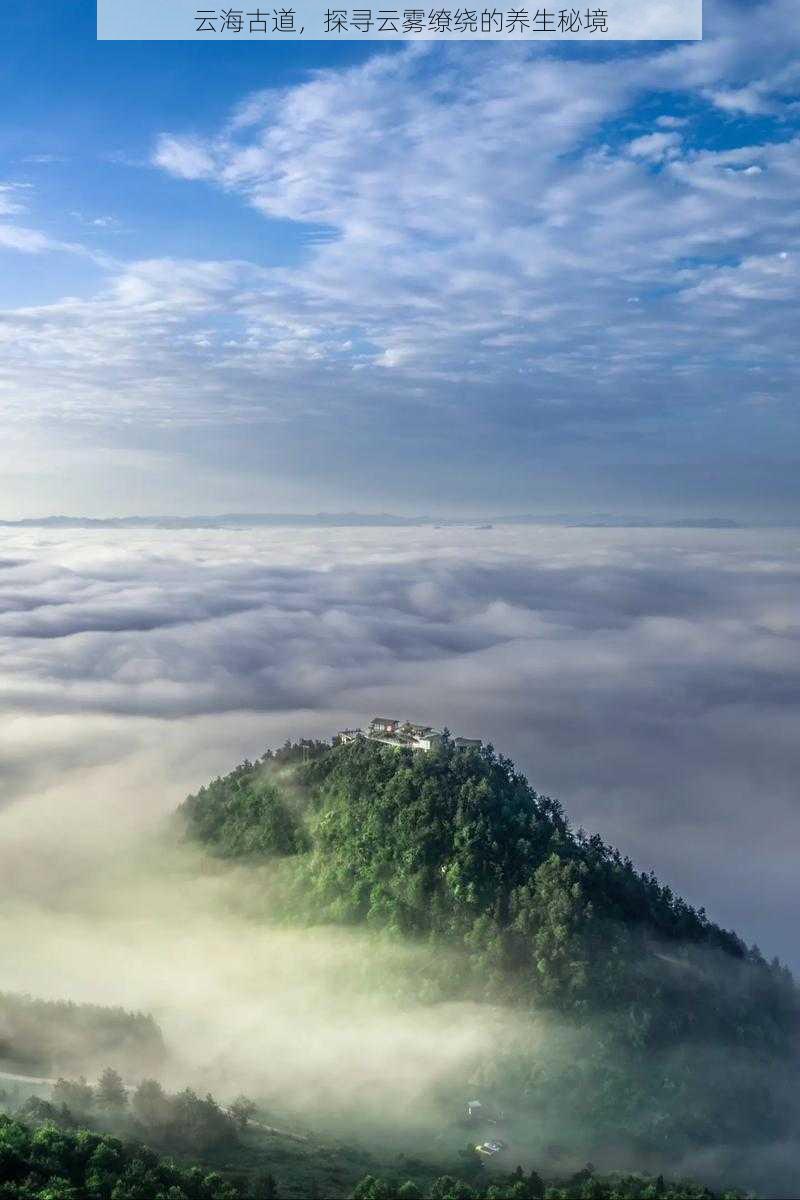 云海古道，探寻云雾缭绕的养生秘境