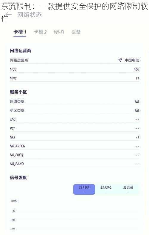 东流限制：一款提供安全保护的网络限制软件