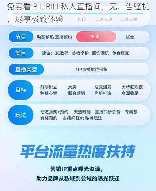 免费看 BILIBILI 私人直播间，无广告骚扰，尽享极致体验