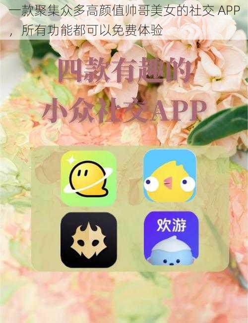 一款聚集众多高颜值帅哥美女的社交 APP，所有功能都可以免费体验