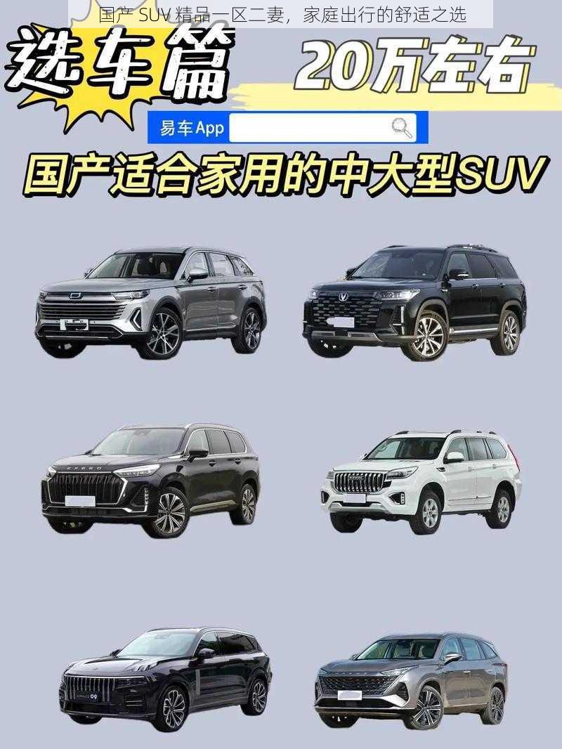 国产 SUV 精品一区二妻，家庭出行的舒适之选