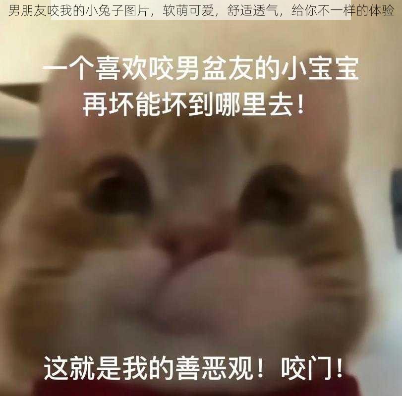 男朋友咬我的小兔子图片，软萌可爱，舒适透气，给你不一样的体验