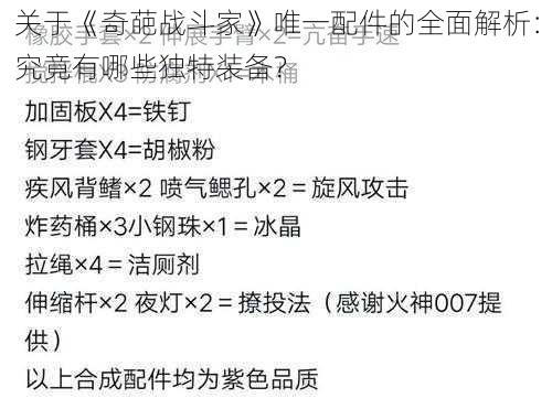 关于《奇葩战斗家》唯一配件的全面解析：究竟有哪些独特装备？