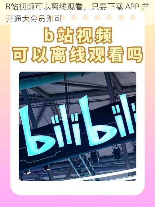 B站视频可以离线观看，只要下载 APP 并开通大会员即可