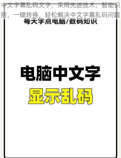 中文字幕乱码文字，采用先进技术，智能识别，一键转换，轻松解决中文字幕乱码问题