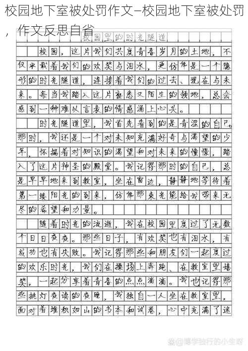 校园地下室被处罚作文—校园地下室被处罚，作文反思自省