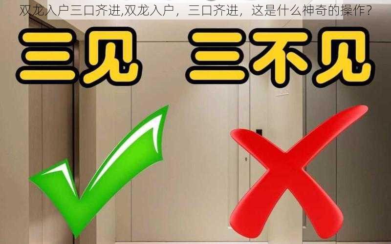 双龙入户三口齐进,双龙入户，三口齐进，这是什么神奇的操作？