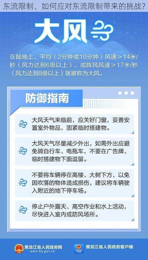 东流限制、如何应对东流限制带来的挑战？