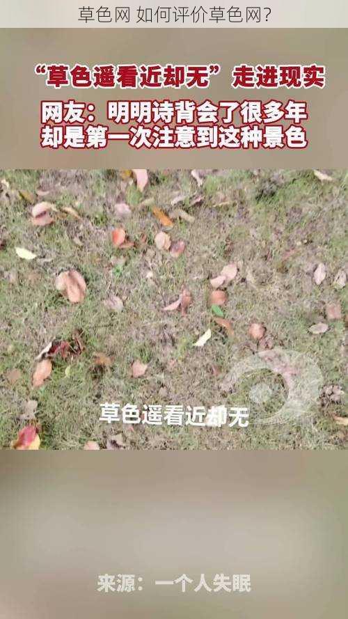 草色网 如何评价草色网？