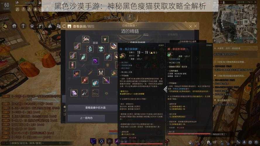 黑色沙漠手游：神秘黑色瘦猫获取攻略全解析