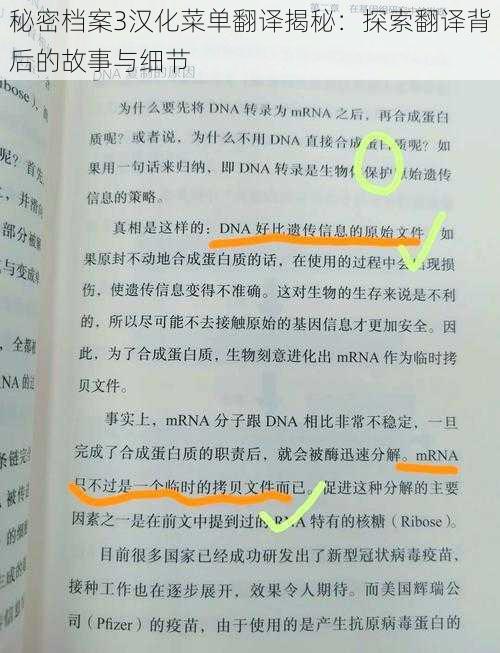 秘密档案3汉化菜单翻译揭秘：探索翻译背后的故事与细节