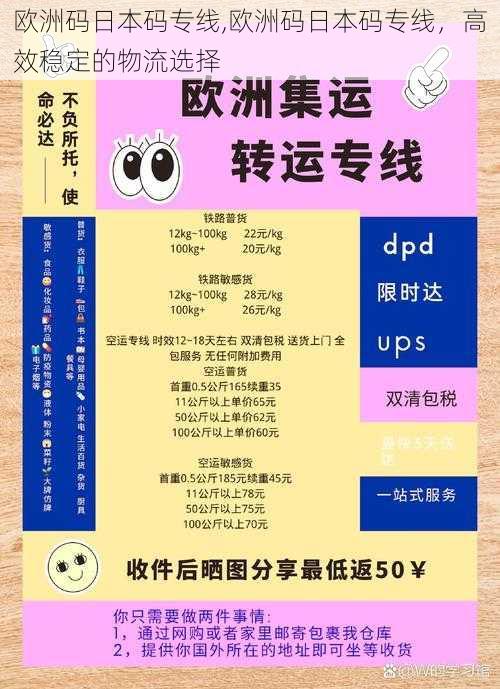 欧洲码日本码专线,欧洲码日本码专线，高效稳定的物流选择