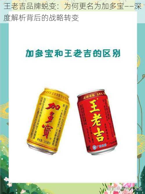 王老吉品牌蜕变：为何更名为加多宝——深度解析背后的战略转变