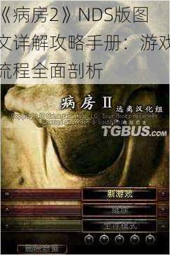 《病房2》NDS版图文详解攻略手册：游戏流程全面剖析