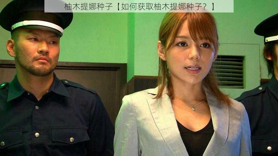 柚木提娜种子【如何获取柚木提娜种子？】