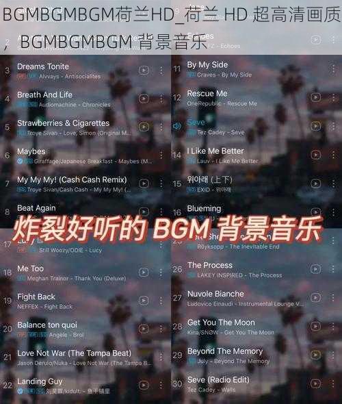 BGMBGMBGM荷兰HD_荷兰 HD 超高清画质，BGMBGMBGM 背景音乐