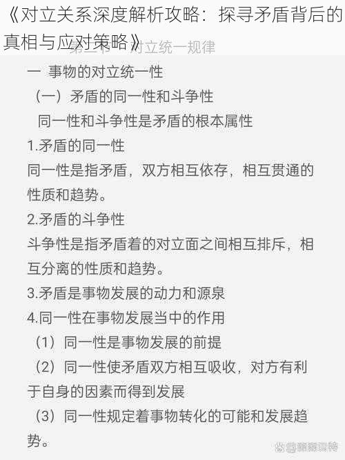 《对立关系深度解析攻略：探寻矛盾背后的真相与应对策略》