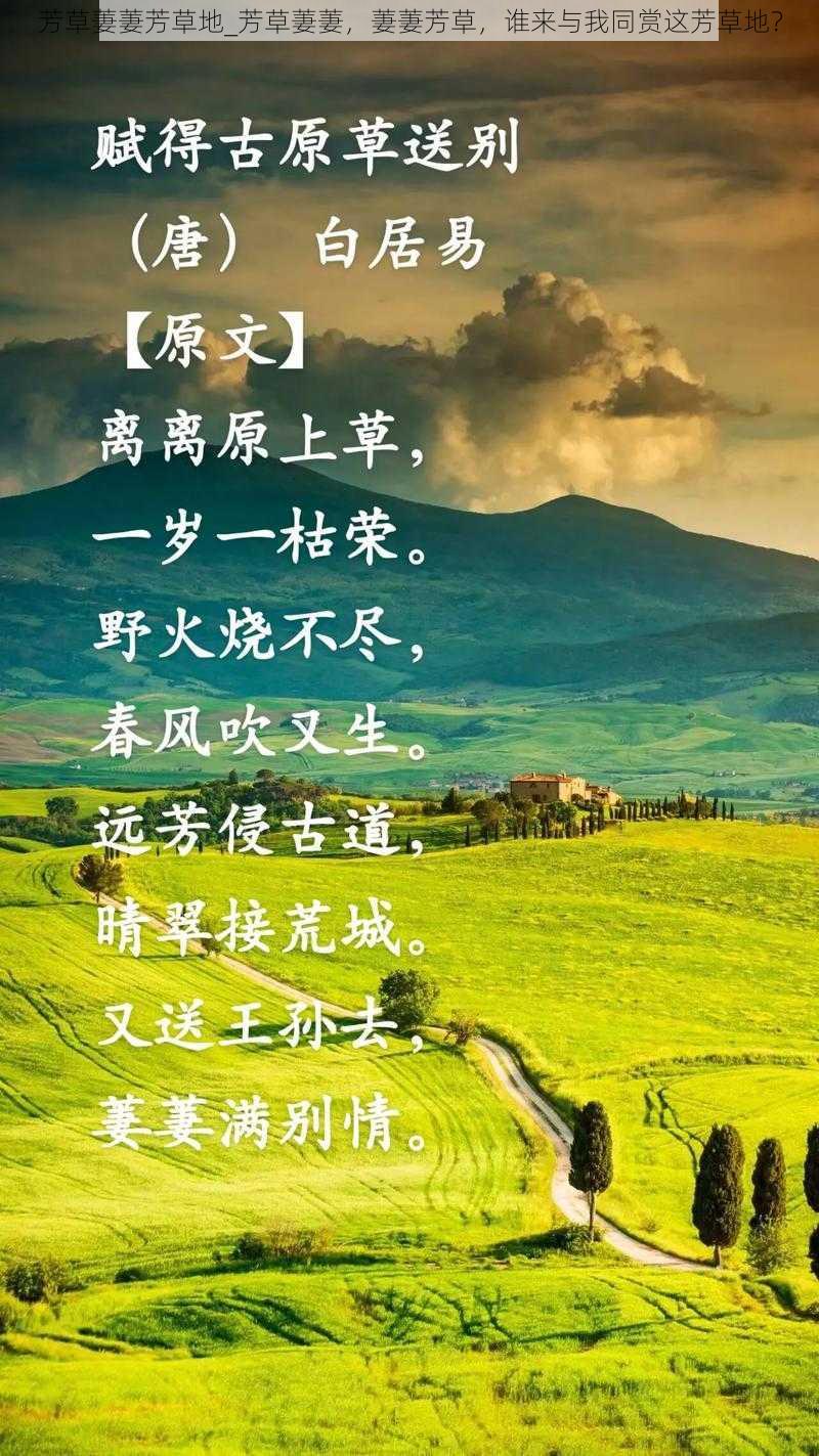 芳草萋萋芳草地_芳草萋萋，萋萋芳草，谁来与我同赏这芳草地？