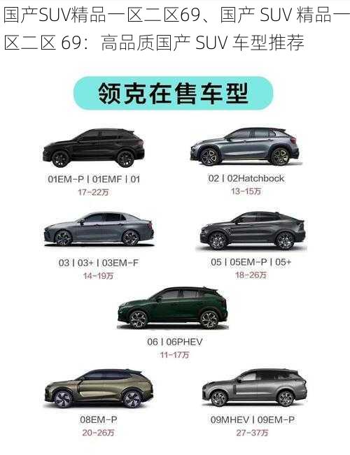 国产SUV精品一区二区69、国产 SUV 精品一区二区 69：高品质国产 SUV 车型推荐