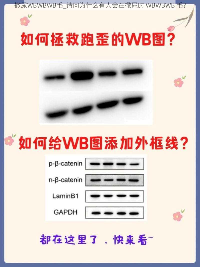 撒尿WBWBWB毛_请问为什么有人会在撒尿时 WBWBWB 毛？