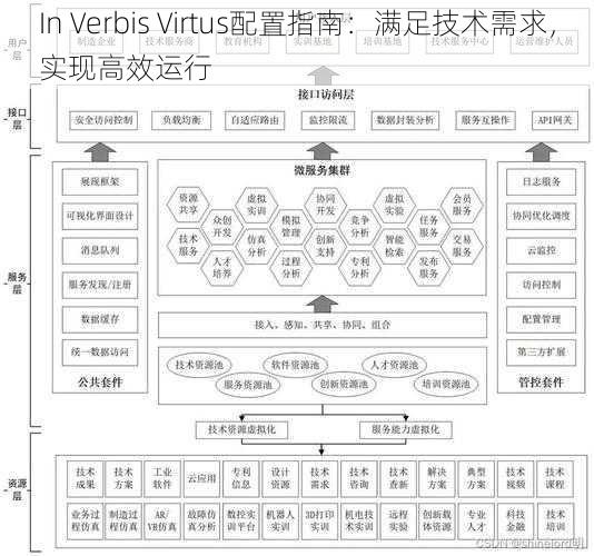 In Verbis Virtus配置指南：满足技术需求，实现高效运行