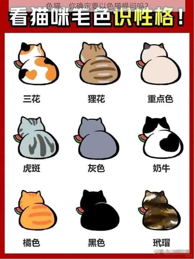 色猫、你确定要以色猫提问吗？