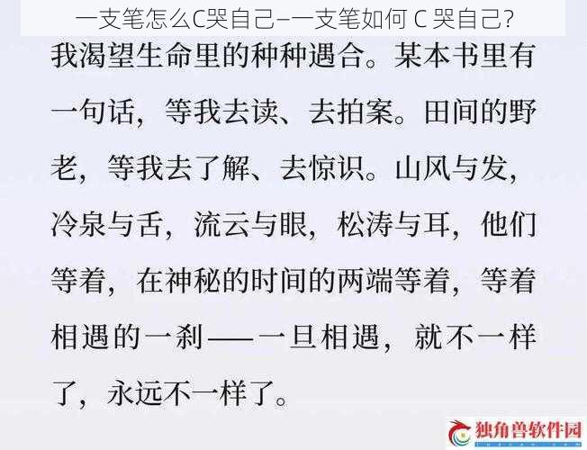 一支笔怎么C哭自己—一支笔如何 C 哭自己？