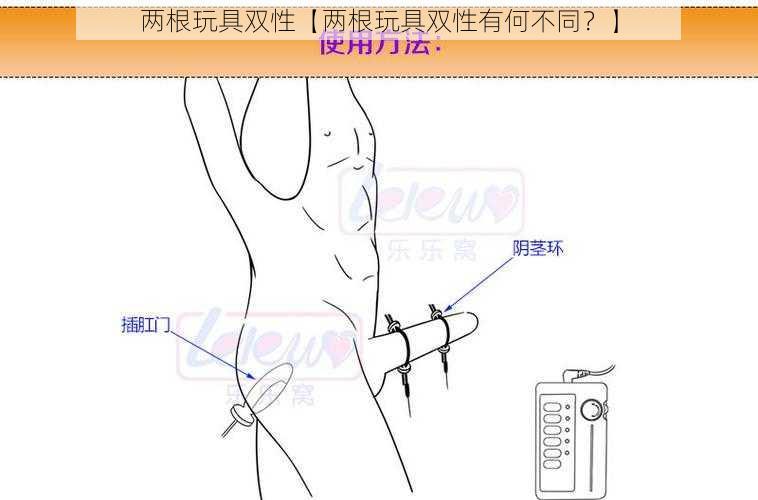 两根玩具双性【两根玩具双性有何不同？】