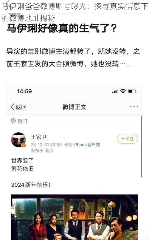 马伊琍爸爸微博账号曝光：探寻真实信息下的微博地址揭秘