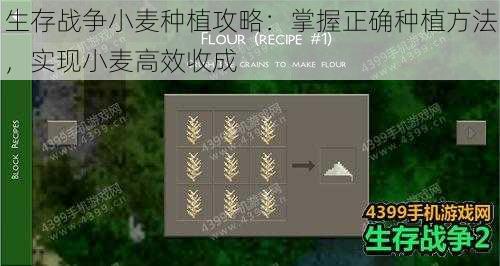 生存战争小麦种植攻略：掌握正确种植方法，实现小麦高效收成