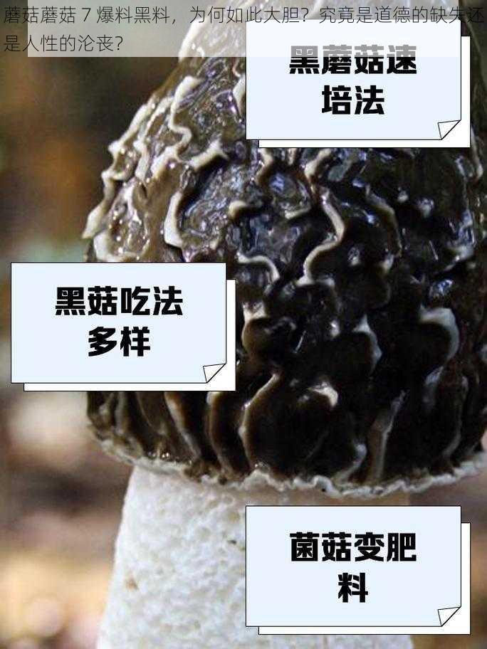 蘑菇蘑菇 7 爆料黑料，为何如此大胆？究竟是道德的缺失还是人性的沦丧？