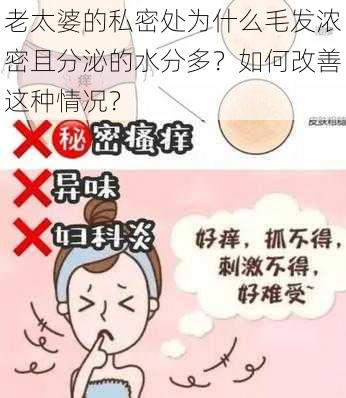 老太婆的私密处为什么毛发浓密且分泌的水分多？如何改善这种情况？