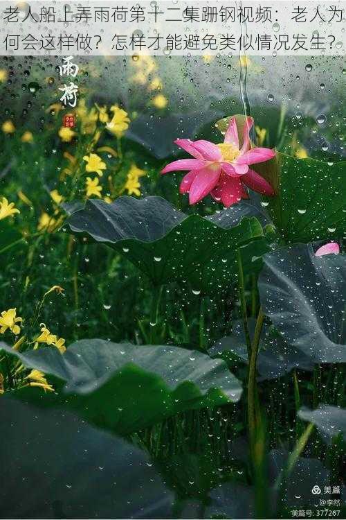 老人船上弄雨荷第十二集跚钢视频：老人为何会这样做？怎样才能避免类似情况发生？