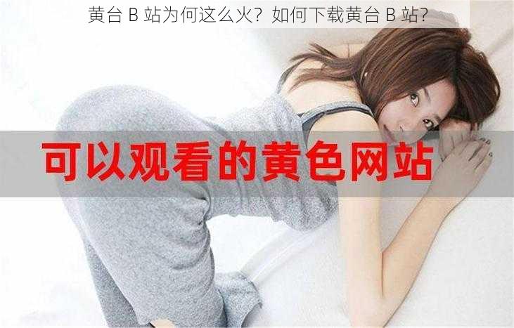 黄台 B 站为何这么火？如何下载黄台 B 站？