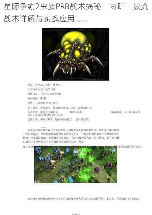 星际争霸2虫族PRB战术揭秘：两矿一波流战术详解与实战应用