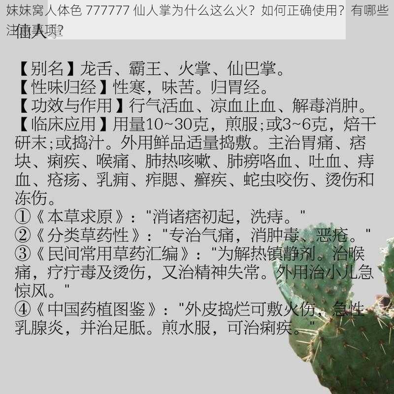 妺妺窝人体色 777777 仙人掌为什么这么火？如何正确使用？有哪些注意事项？