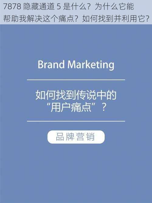 7878 隐藏通道 5 是什么？为什么它能帮助我解决这个痛点？如何找到并利用它？