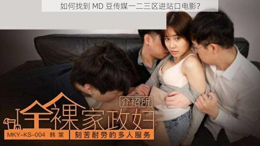 如何找到 MD 豆传媒一二三区进站口电影？