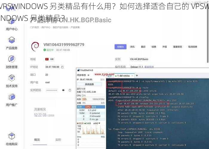 VPSWINDOWS 另类精品有什么用？如何选择适合自己的 VPSWINDOWS 另类精品？