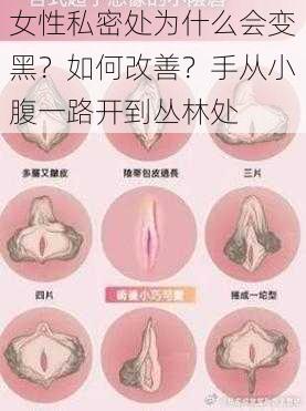 女性私密处为什么会变黑？如何改善？手从小腹一路开到丛林处