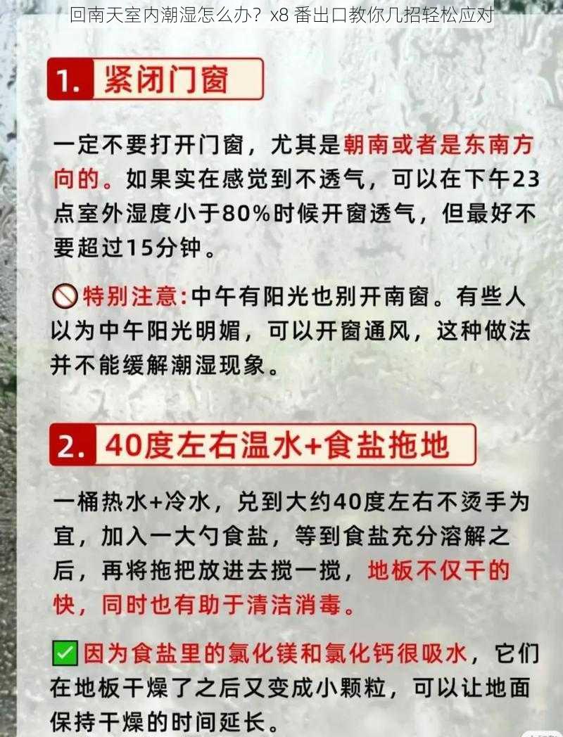 回南天室内潮湿怎么办？x8 番出口教你几招轻松应对