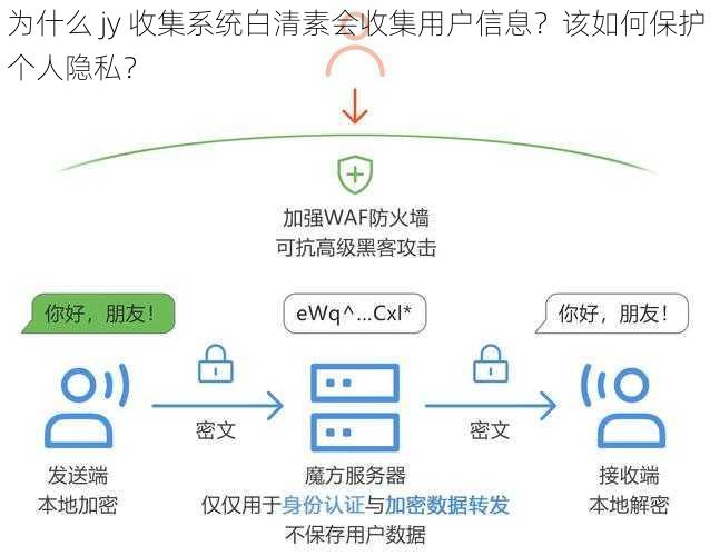 为什么 jy 收集系统白清素会收集用户信息？该如何保护个人隐私？