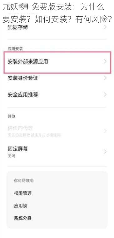 九妖 91 免费版安装：为什么要安装？如何安装？有何风险？