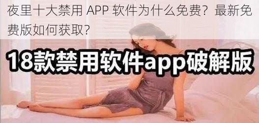 夜里十大禁用 APP 软件为什么免费？最新免费版如何获取？