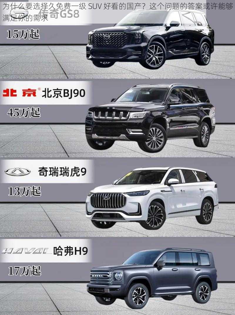 为什么要选择久免费一级 SUV 好看的国产？这个问题的答案或许能够满足你的需求