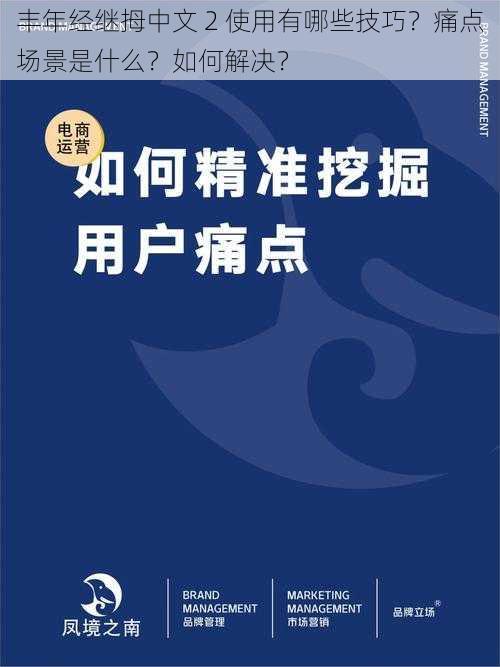 丰年经继拇中文 2 使用有哪些技巧？痛点场景是什么？如何解决？