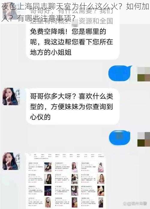 夜色上海同志聊天室为什么这么火？如何加入？有哪些注意事项？