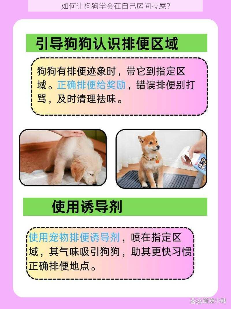 如何让狗狗学会在自己房间拉屎？