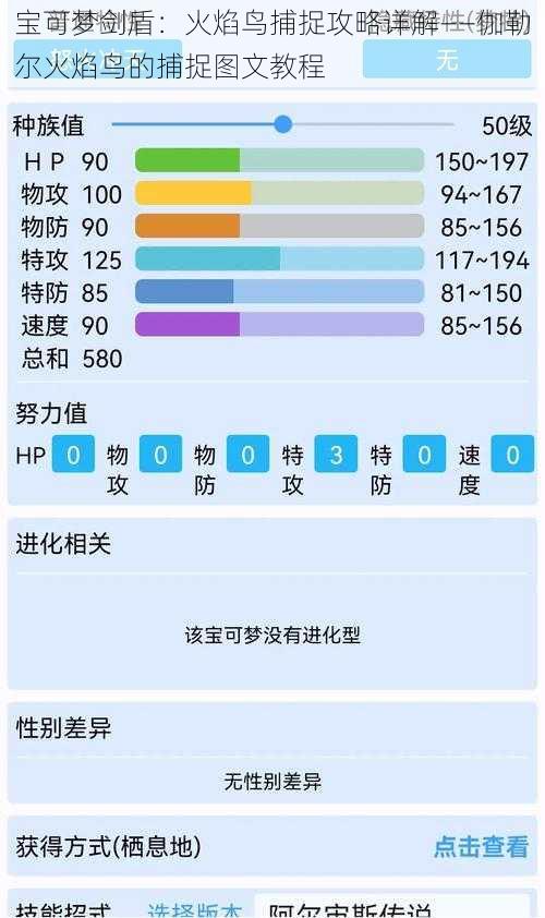 宝可梦剑盾：火焰鸟捕捉攻略详解——伽勒尔火焰鸟的捕捉图文教程